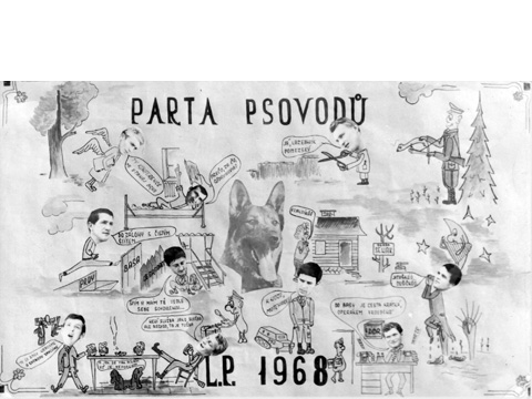 Foto 15